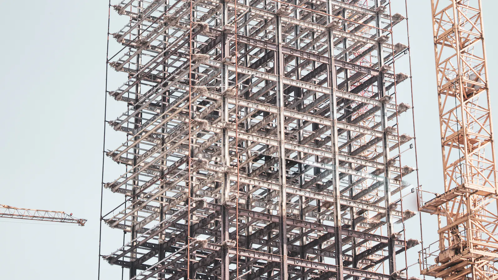 Steel building frame rising next to a tower crane